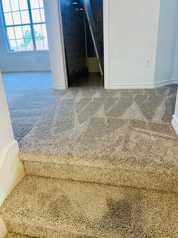 From the top step: the same speckled carpet across the upstairs landing and into the rooms off it, with a large window in the room ahead.