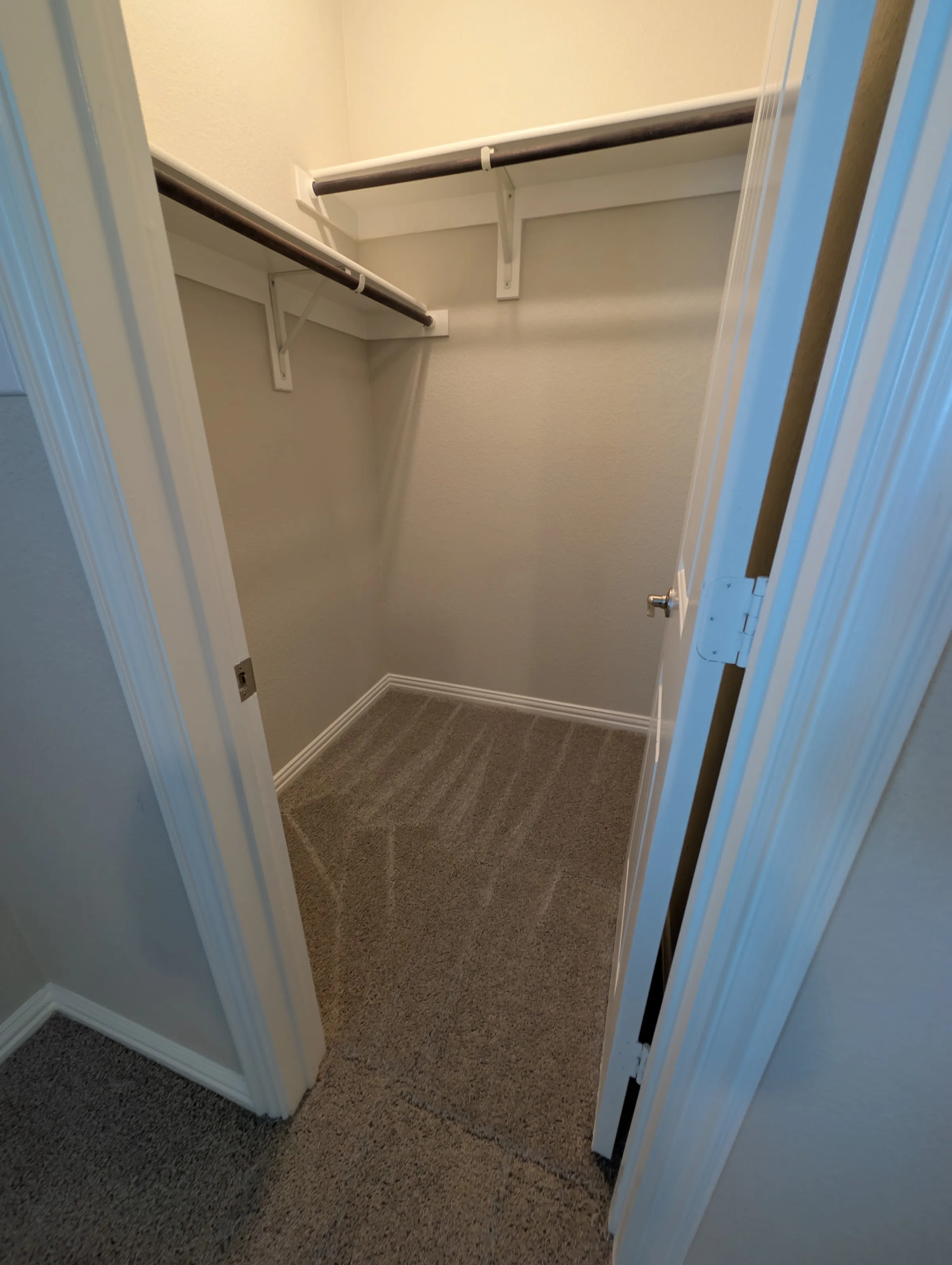 Clóset vestidor con alfombra gris texturizada nueva, estantes blancos, barras oscuras y zoclos, visto a través de una puerta abierta.